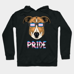 Greyhound Transgender Flag Lgbt Hoodie